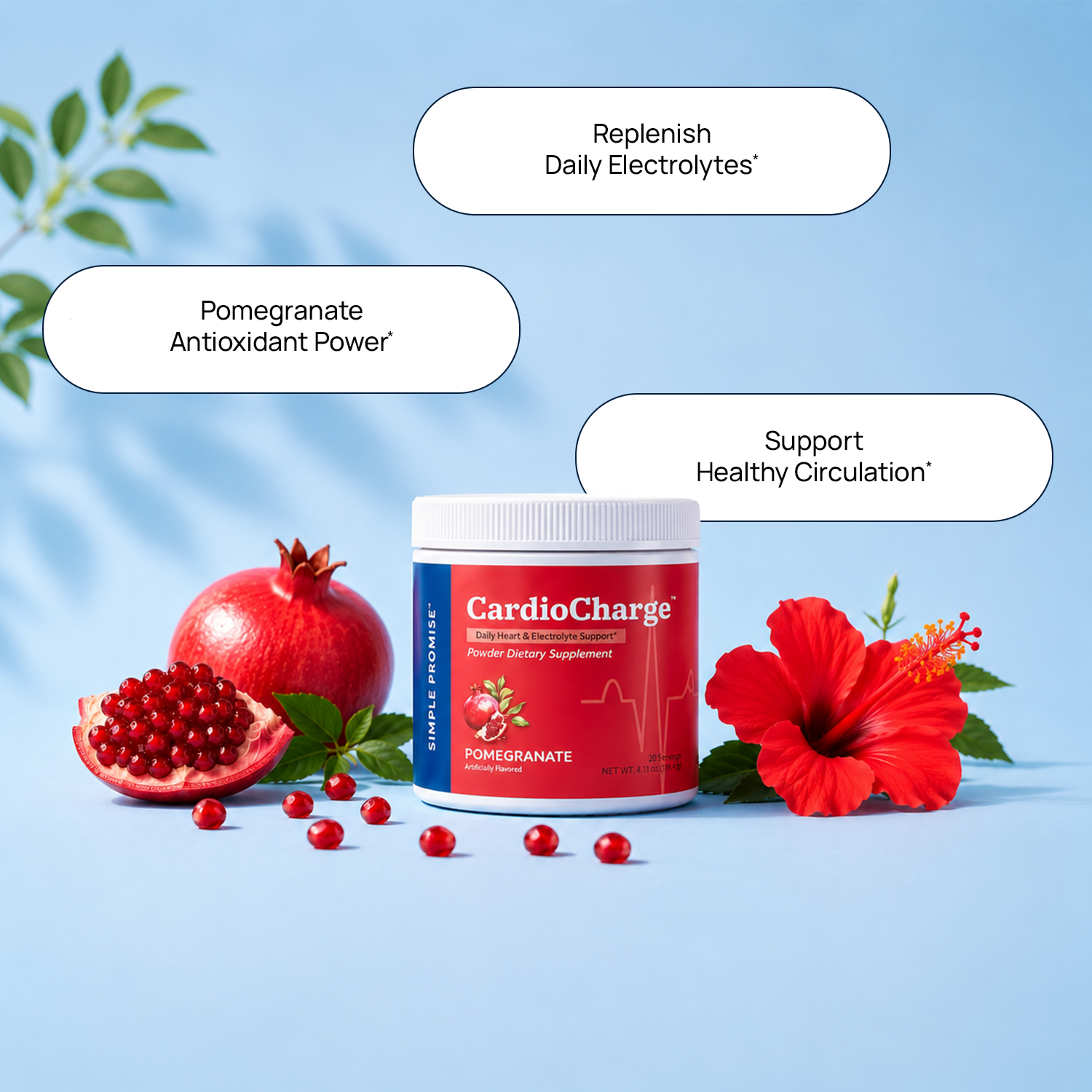 CardioCharge™