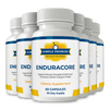 EnduraCore
