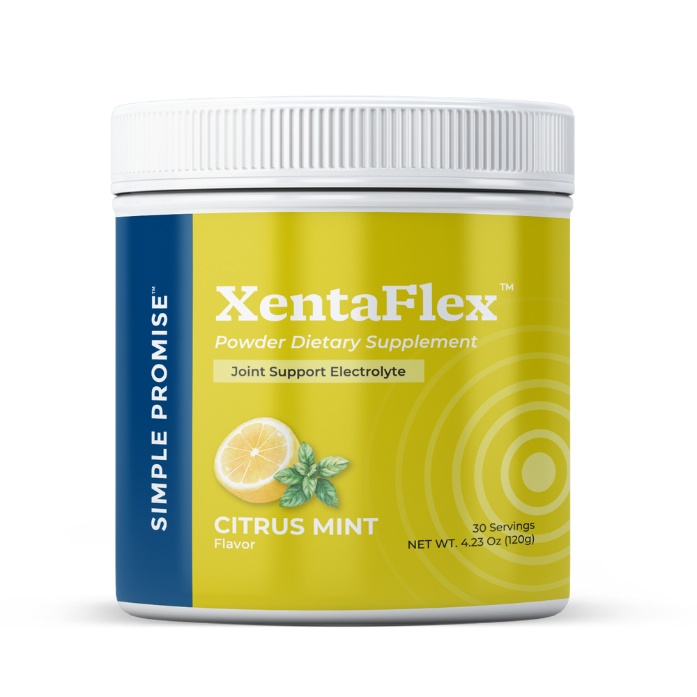 Xentrix ６枚セット ゼントリックス Xentrix 6枚セット ゼントリックス Xentrix 6枚セット ゼントリックス