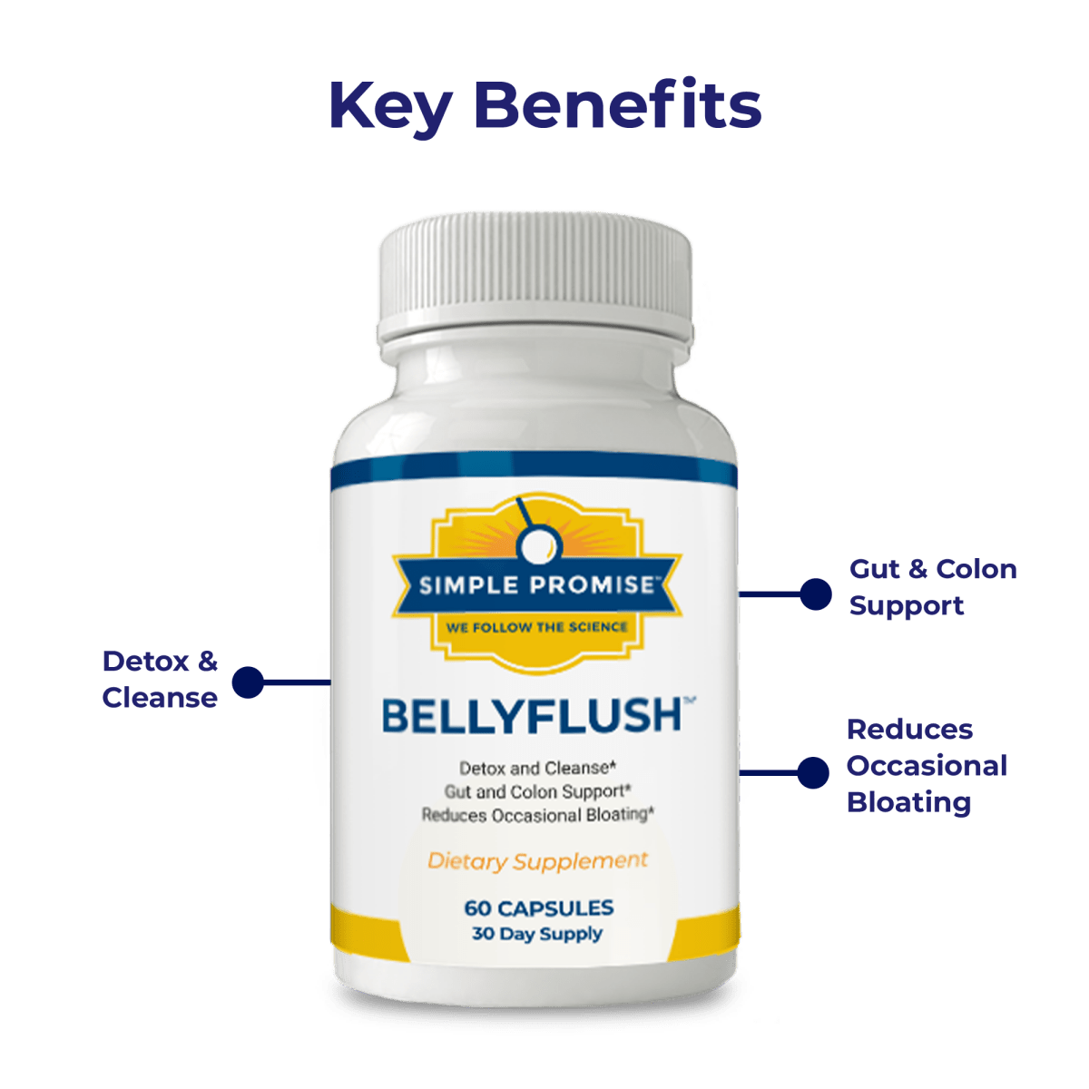 BellyFlush™ 2 Bottles (Subscription)